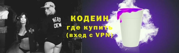 хмурый Новозыбков