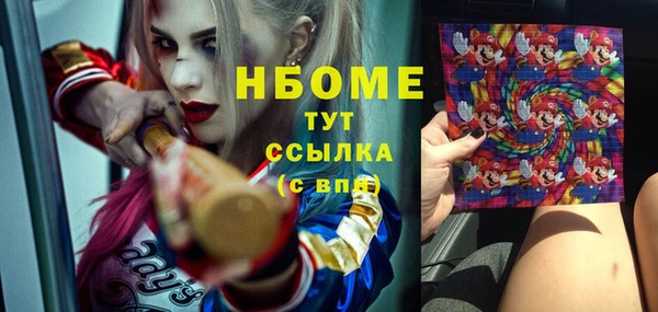 хмурый Новозыбков