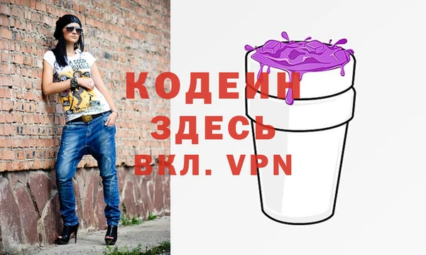 хмурый Новозыбков