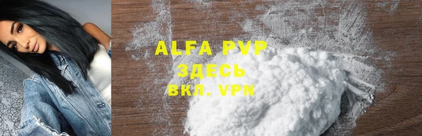 PSILOCYBIN Навашино
