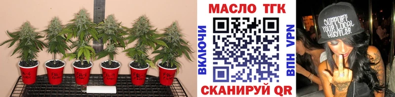 Дистиллят ТГК концентрат  купить закладку  Микунь 